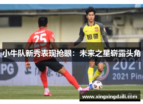 小牛队新秀表现抢眼：未来之星崭露头角