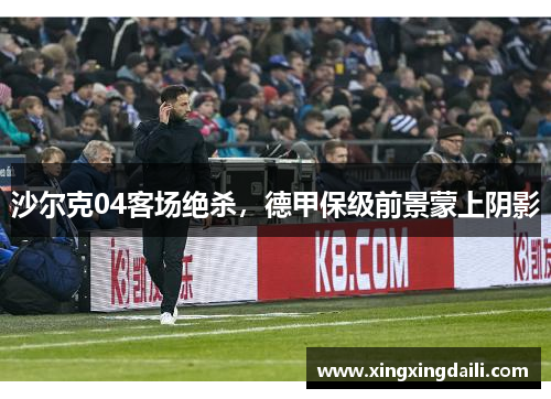 沙尔克04客场绝杀，德甲保级前景蒙上阴影