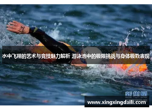 水中飞翔的艺术与竞技魅力解析 游泳池中的极限挑战与身体极致表现