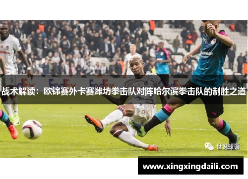 战术解读：欧锦赛外卡赛潍坊拳击队对阵哈尔滨拳击队的制胜之道